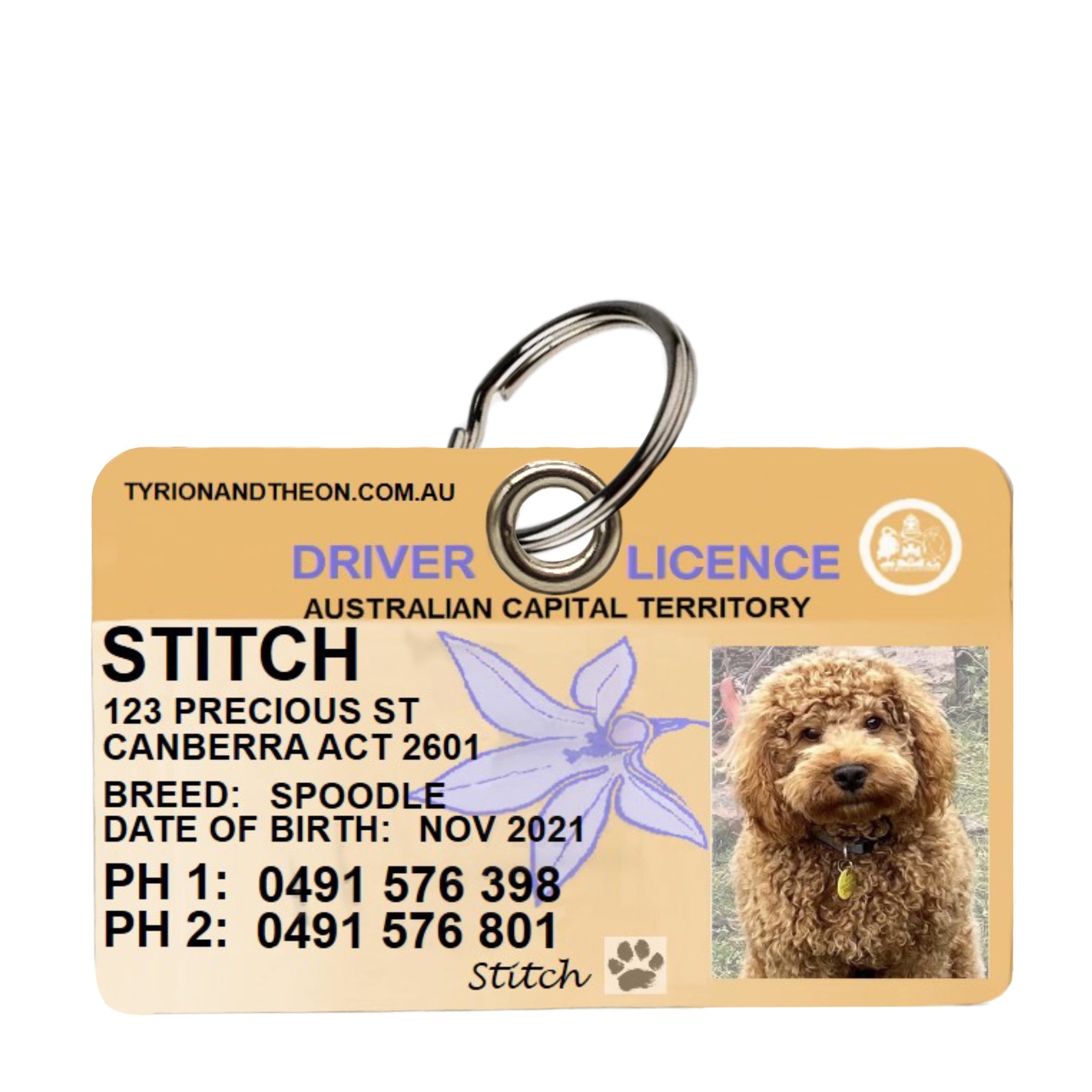 Dog tag driver's store licence