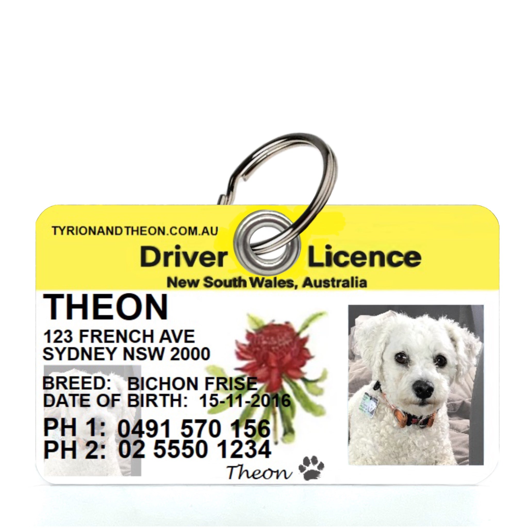 Dog tags that 2024 look like driver's license