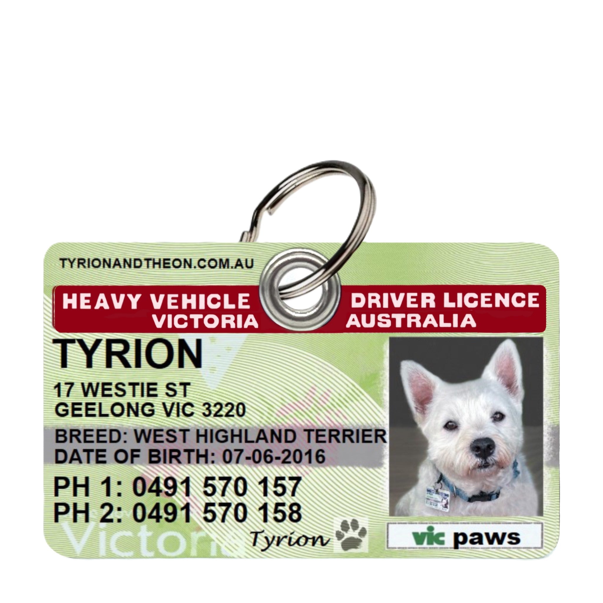 Dog tag 2025 driver's licence