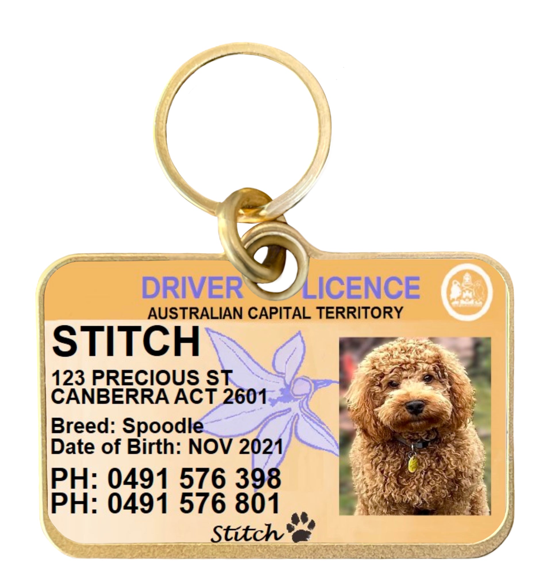 ACT drivers licence license pet dog cat ID collar tag