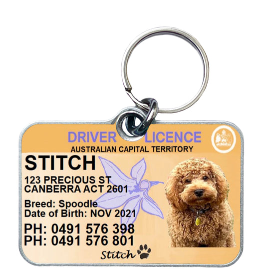 ACT driver licence license pet dog cat ID collar tag