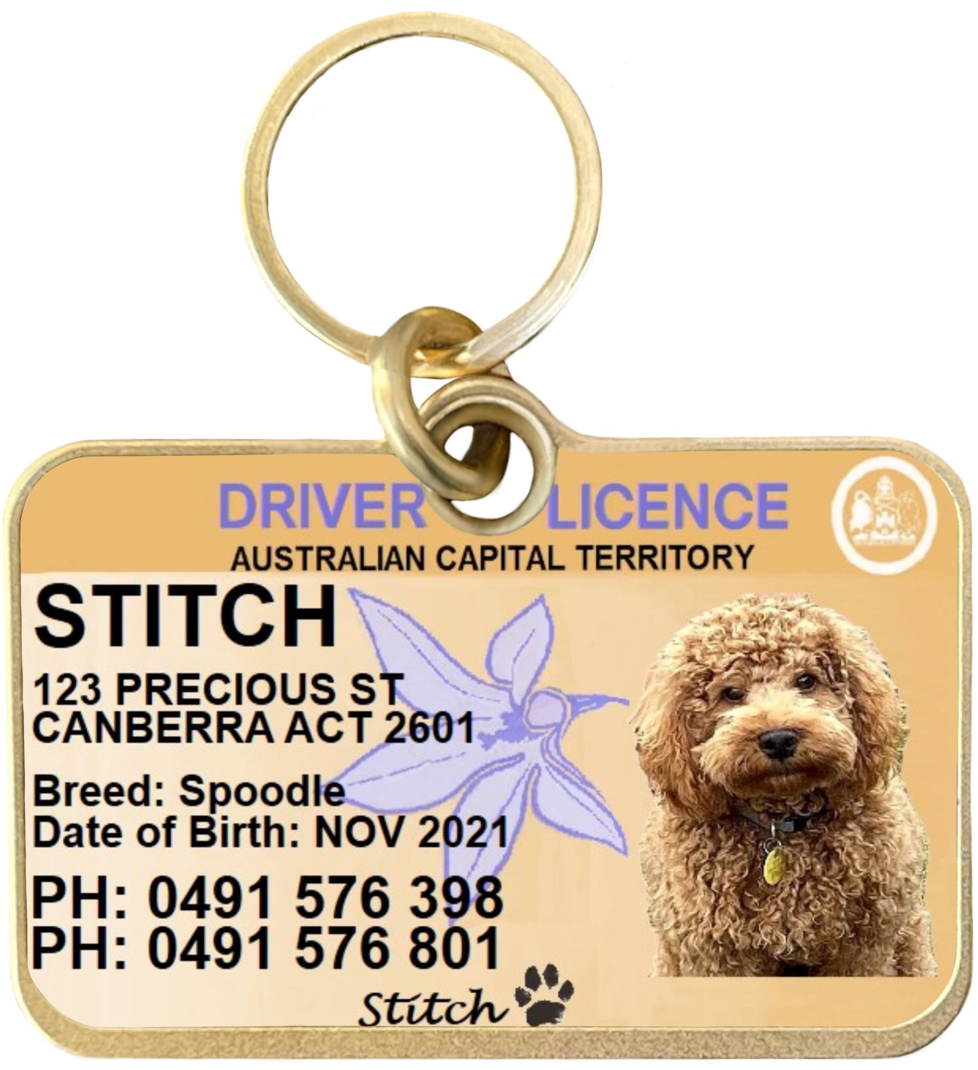 ACT drivers licence license pet dog cat ID collar tag