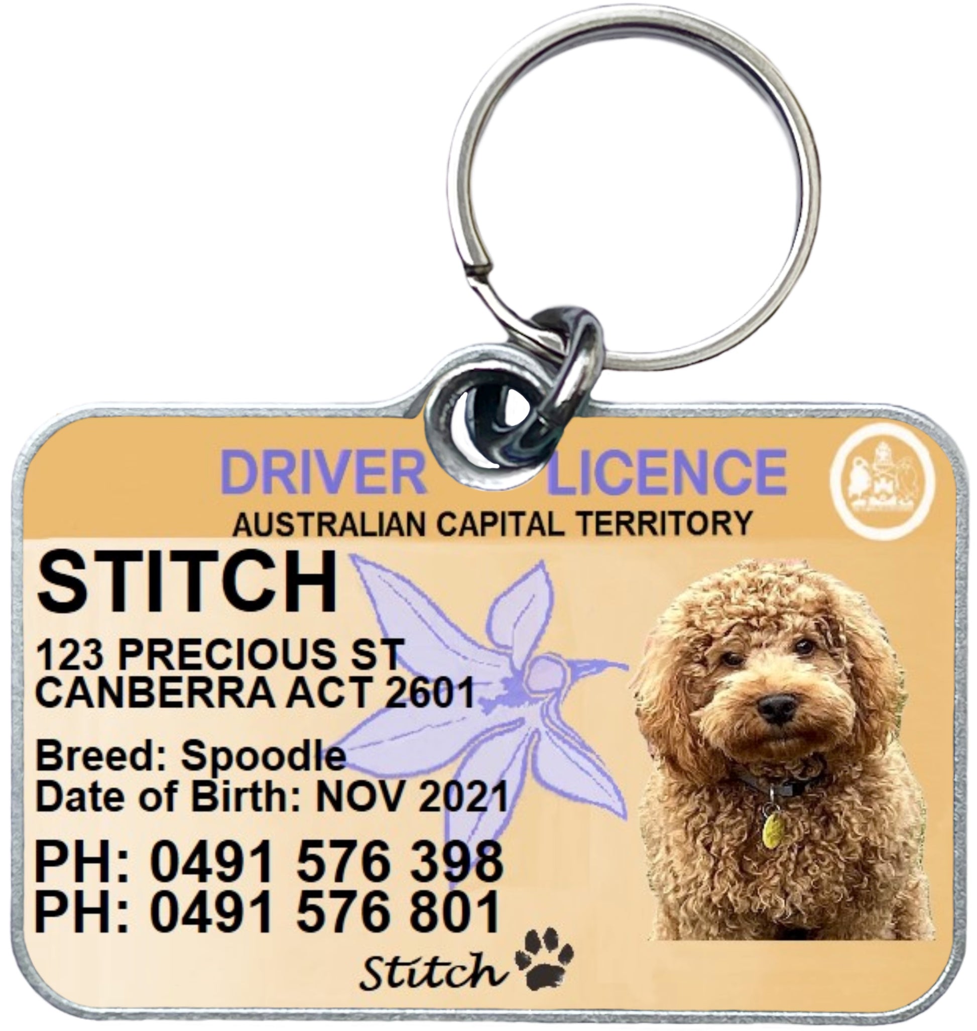 ACT driver licence license pet dog cat ID collar tag