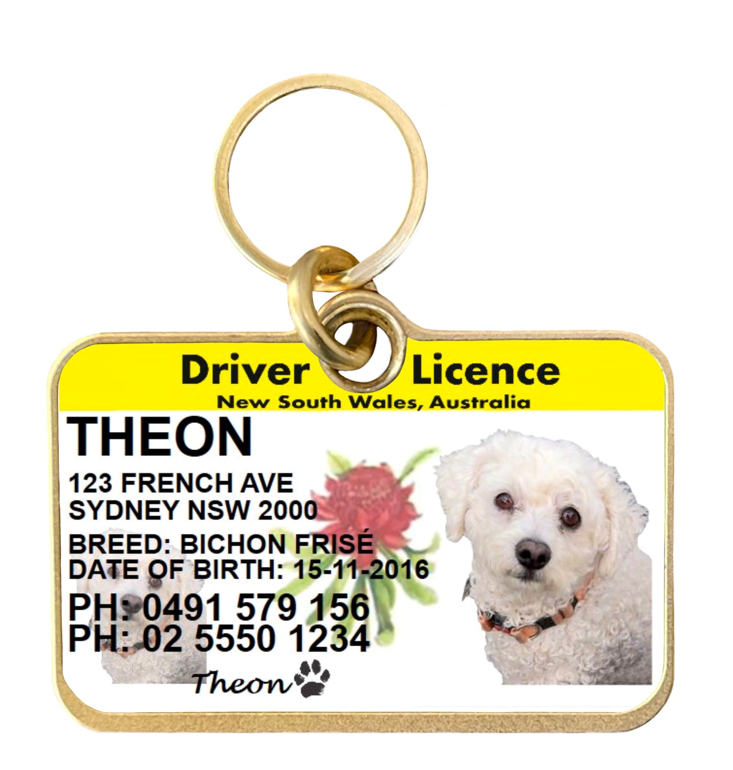 NSW Driver licence dog tag