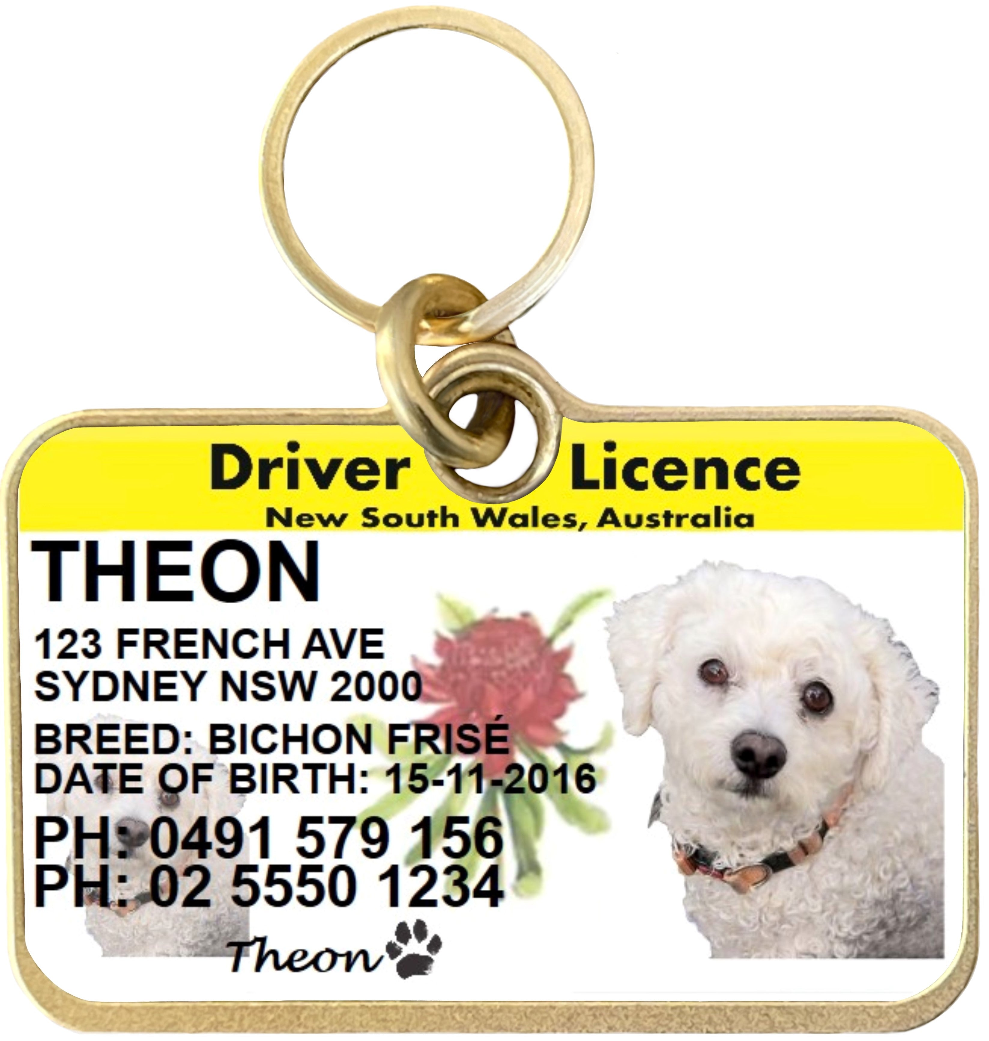 Driver's license pet id tags best sale