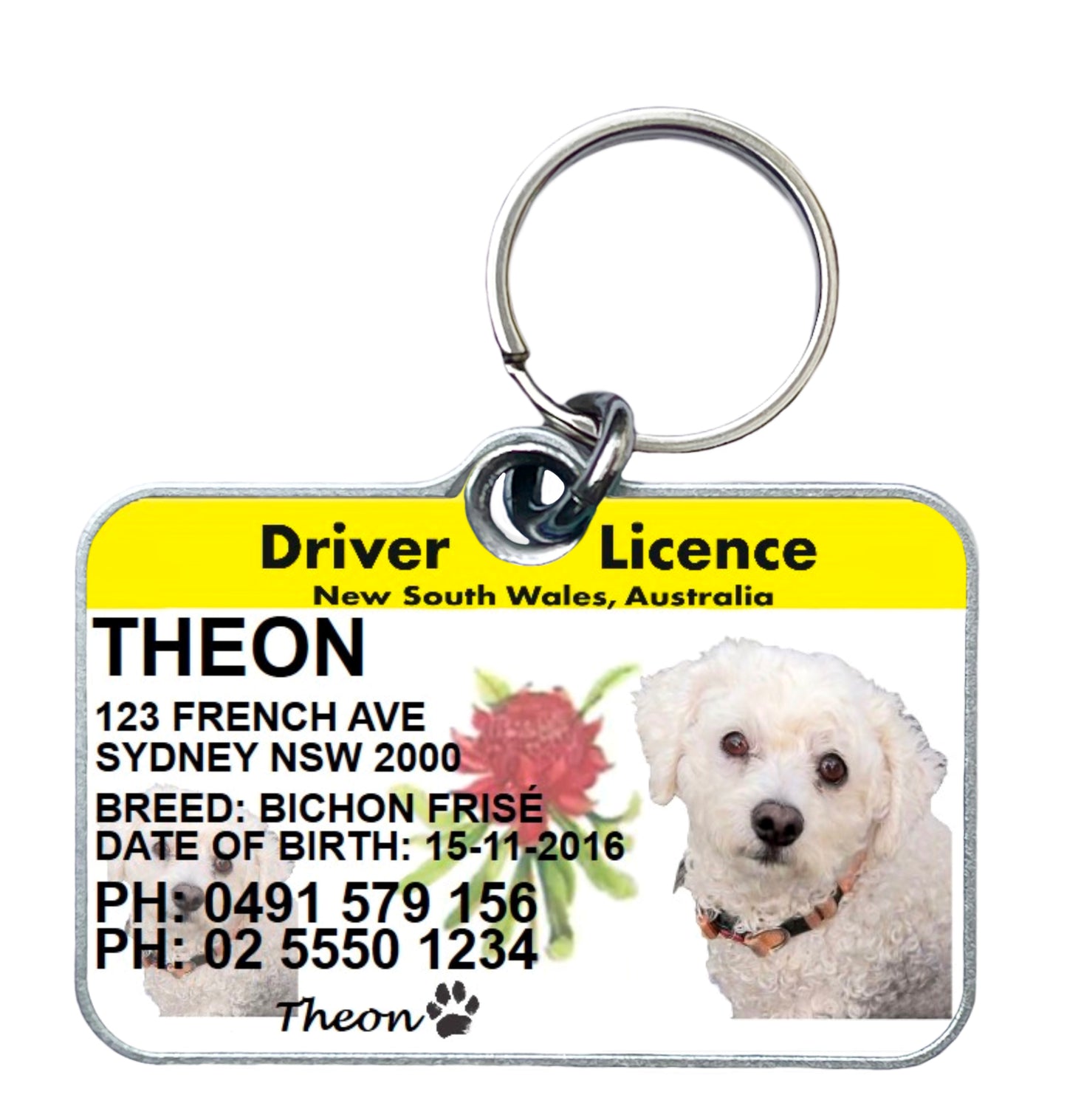 NSW driver licence license pet dog cat ID collar tag