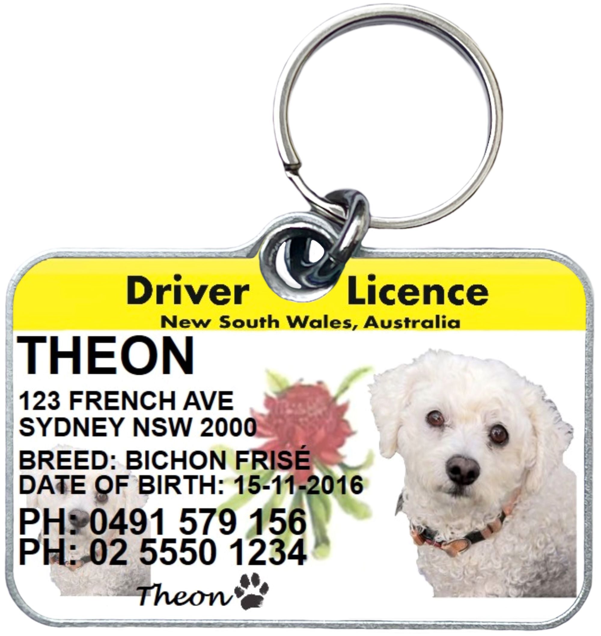 NSW DRIVER LICENCE PET COLLAR ID TAGS Tyrion and Theon