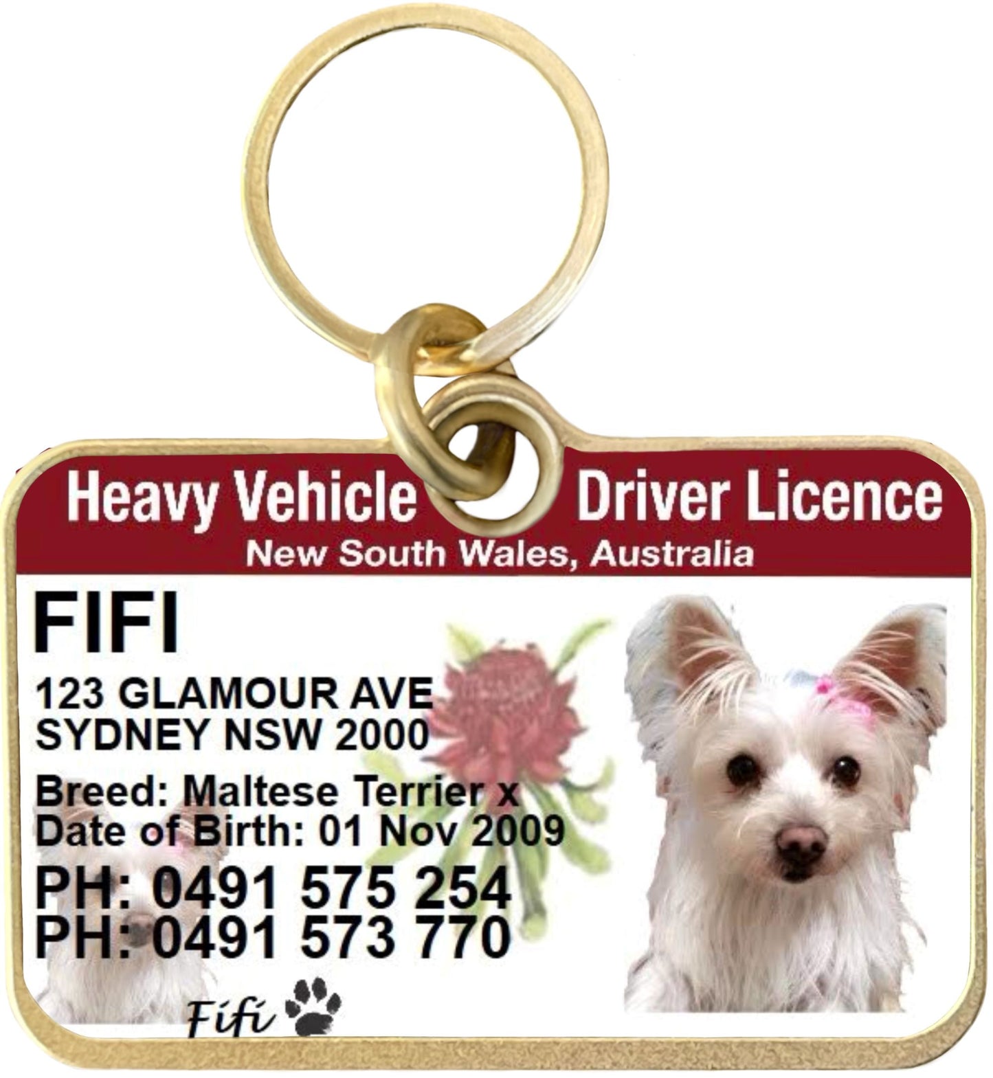 NSW Heavy Vehicle License Licence dog tag