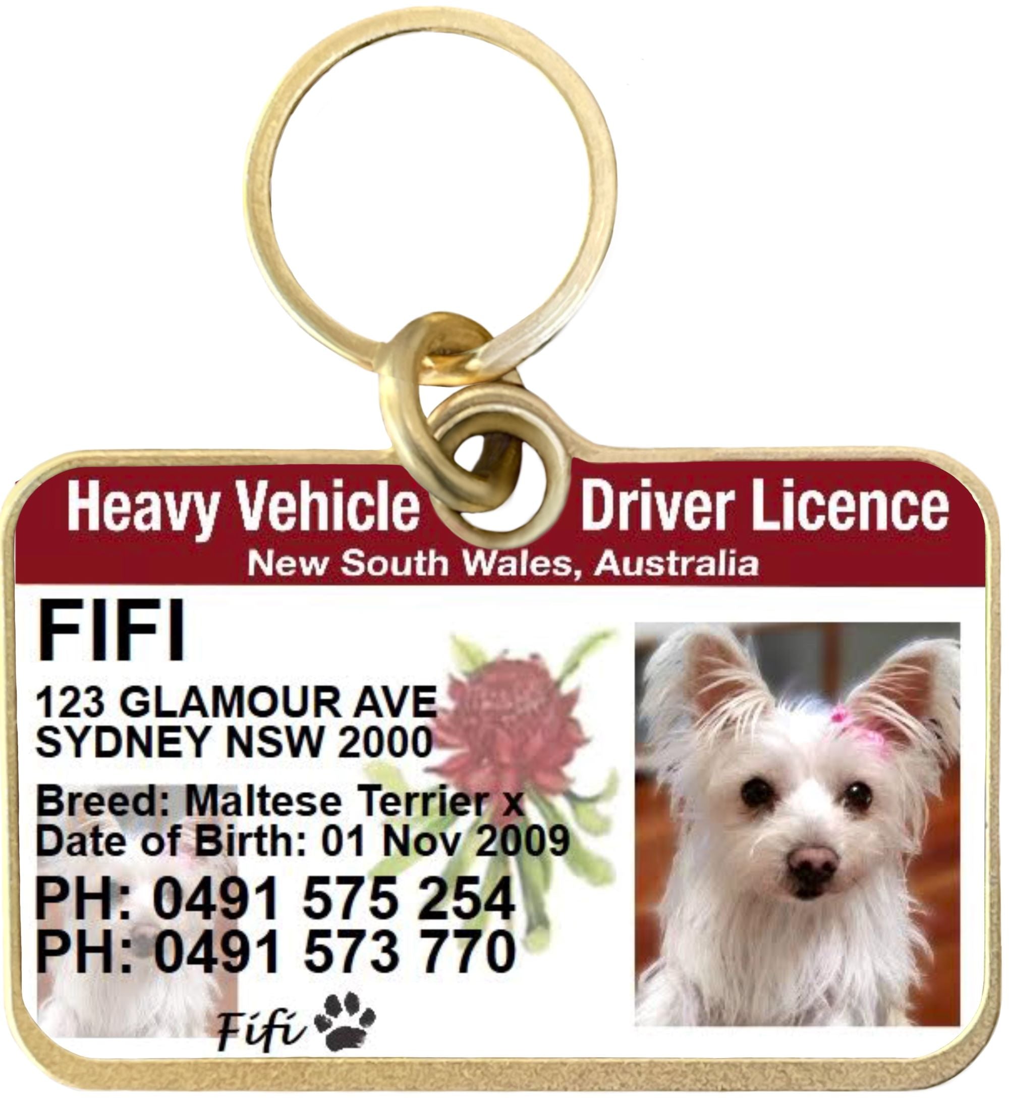 Licence dog tags best sale