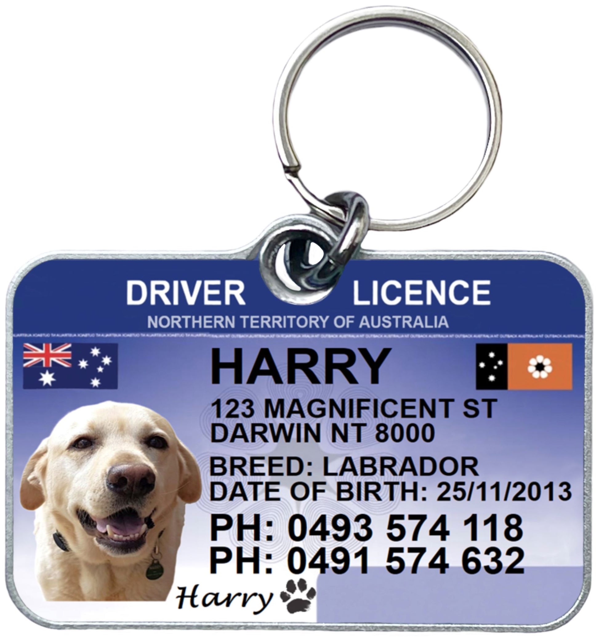 NT LICENCE PET COLLAR ID TAGS – Tyrion and Theon
