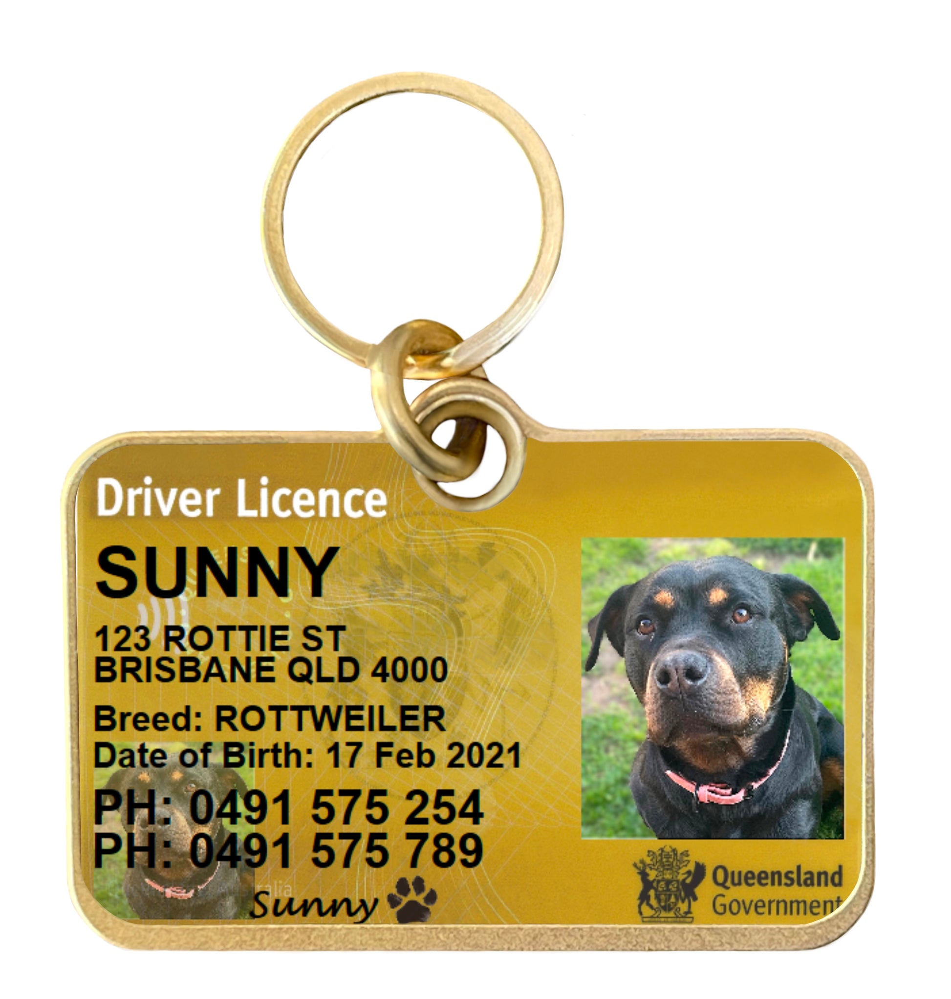 Queensland driver license licence ID collar tag