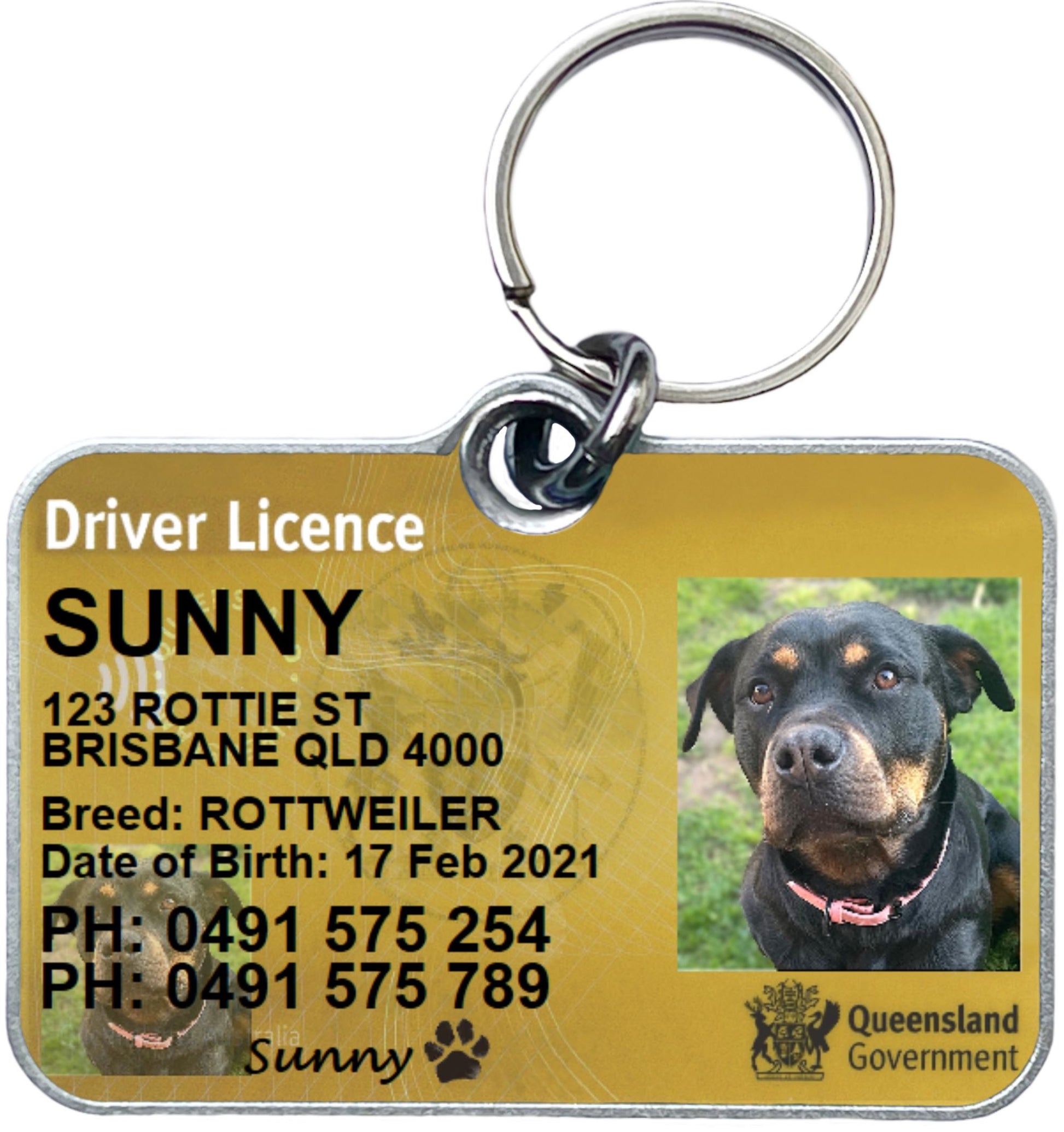 Queensland driver license licence ID collar tag