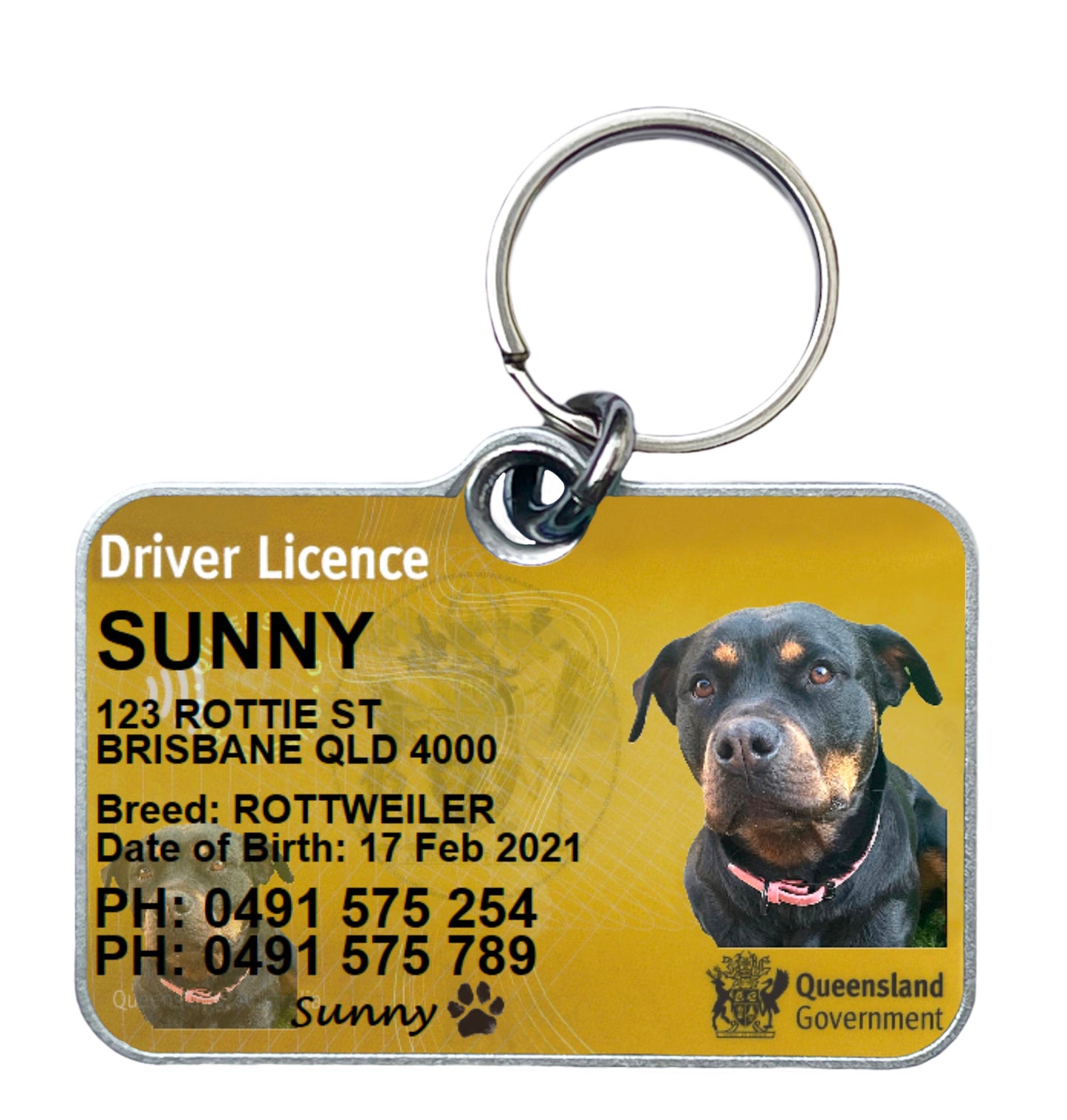 Qld Queensland driver licence license pet dog cat ID collar tag