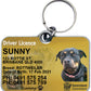 Qld Queensland driver licence license pet dog cat ID collar tag