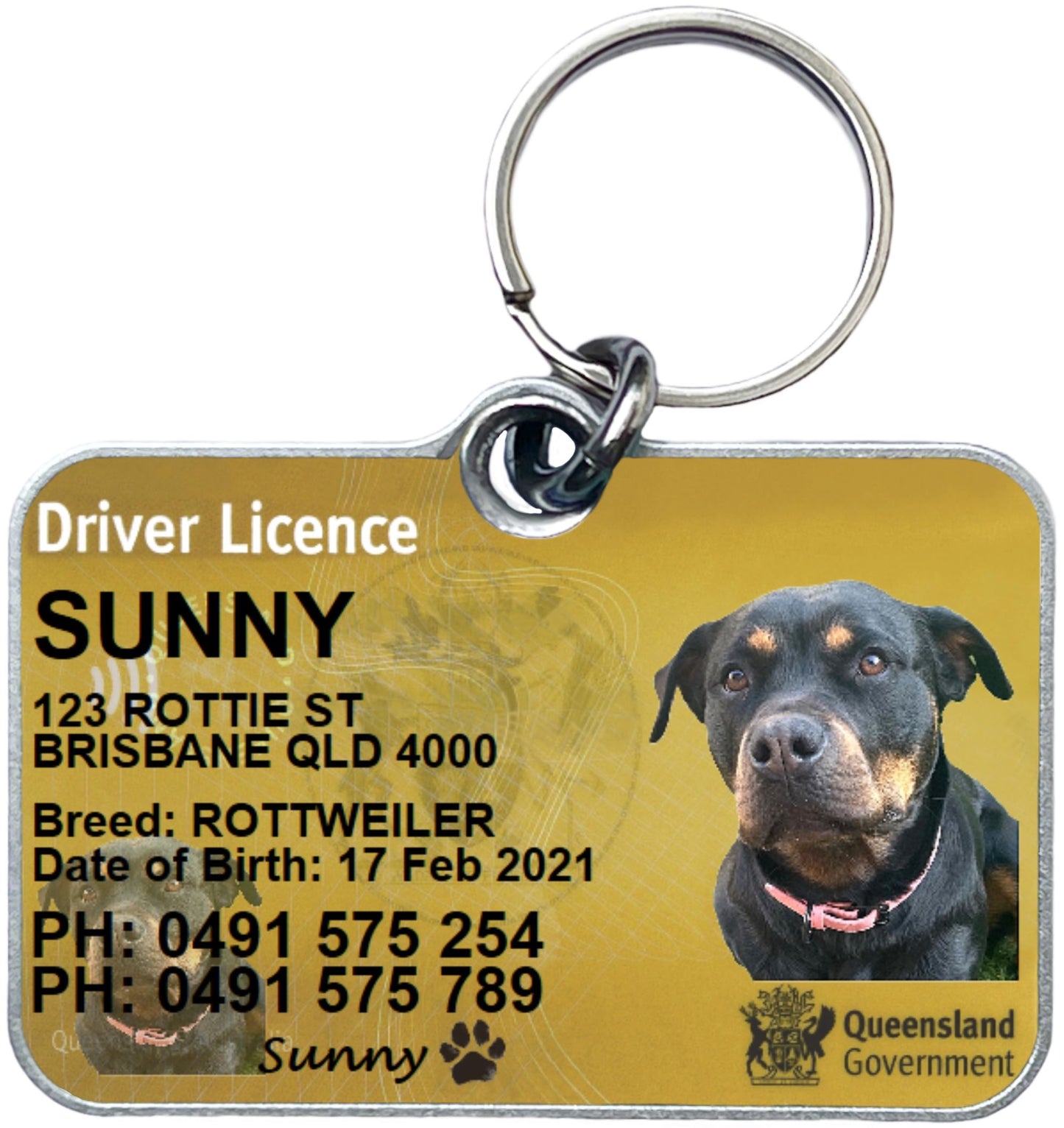 Qld Queensland driver licence license pet dog cat ID collar tag