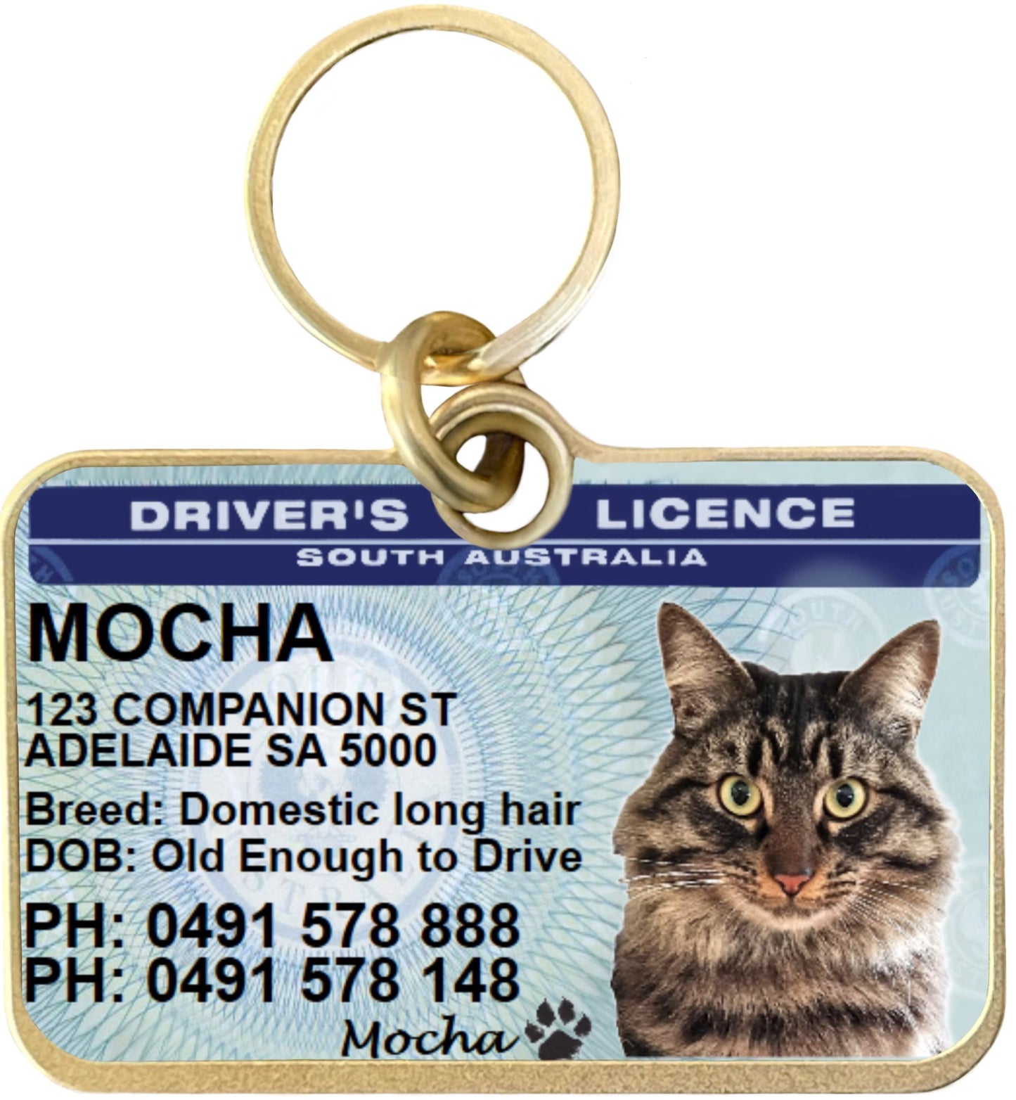 South Australia driver licence license pet dog cat ID collar tag