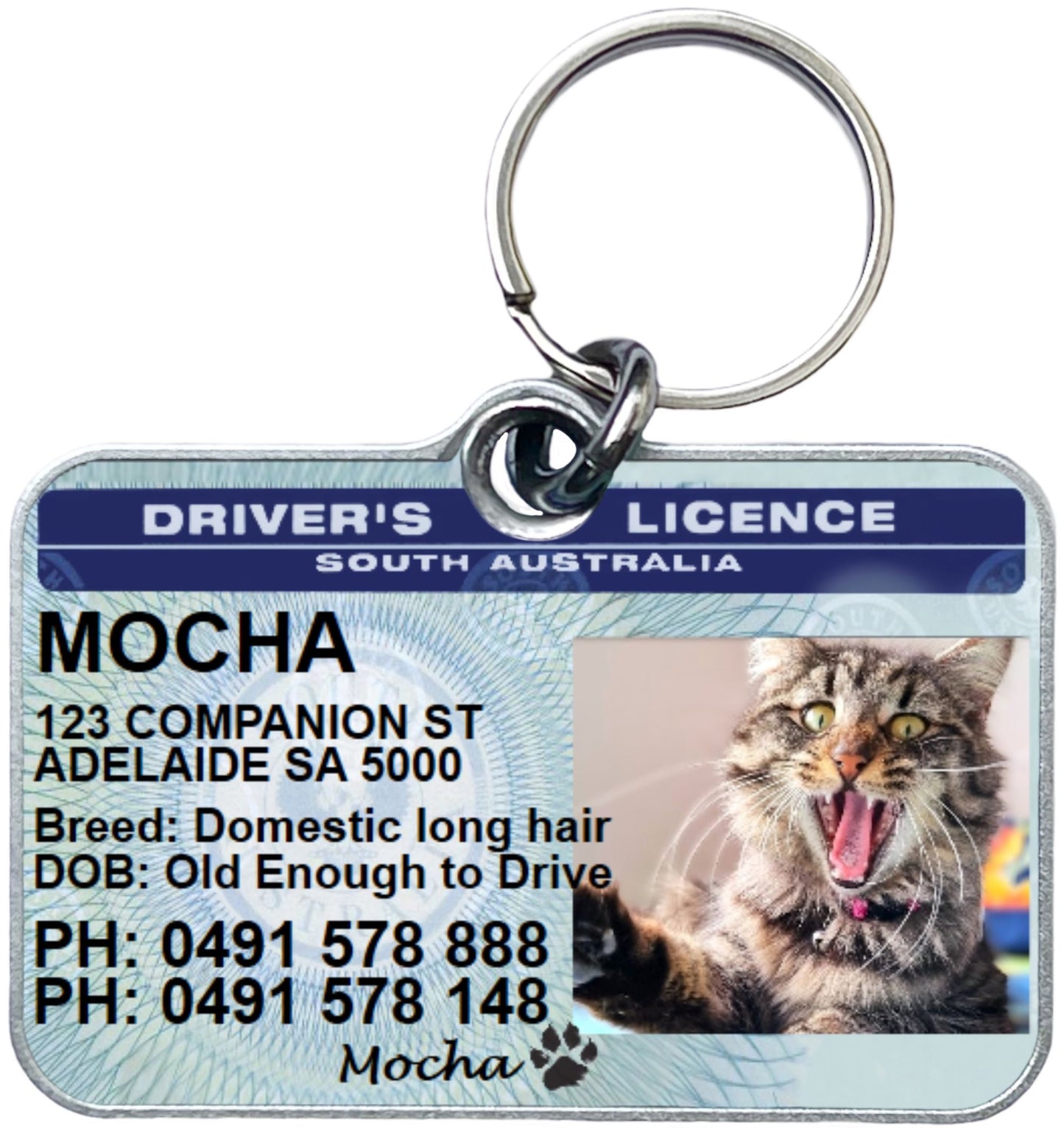 SA South Australia driver licence license pet dog cat ID collar tag