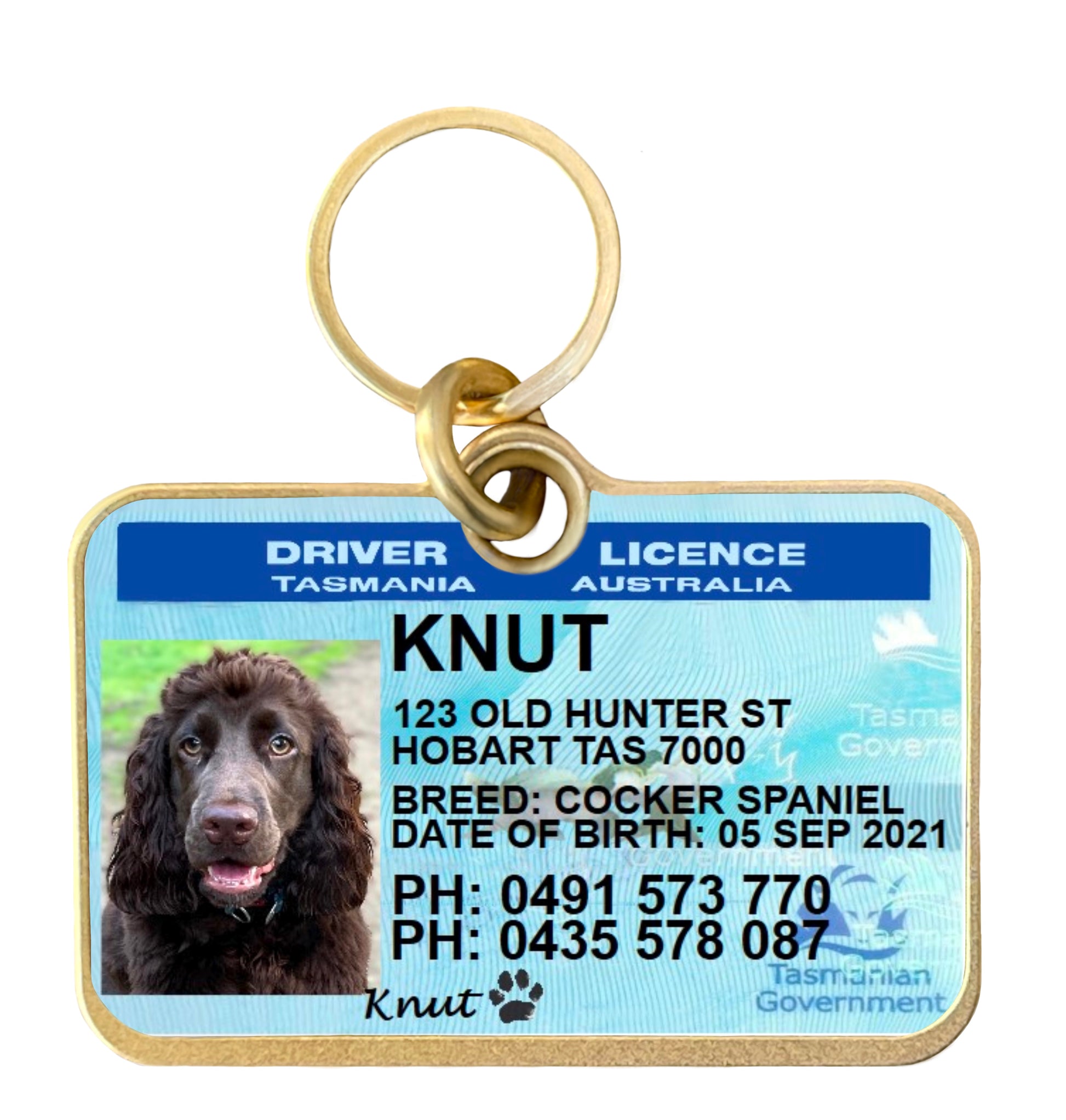 Tasmania Tasmanian driver licence license pet dog cat collar ID tag