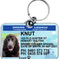 Tasmania Tasmanian driver licence license pet dog cat collar ID tag