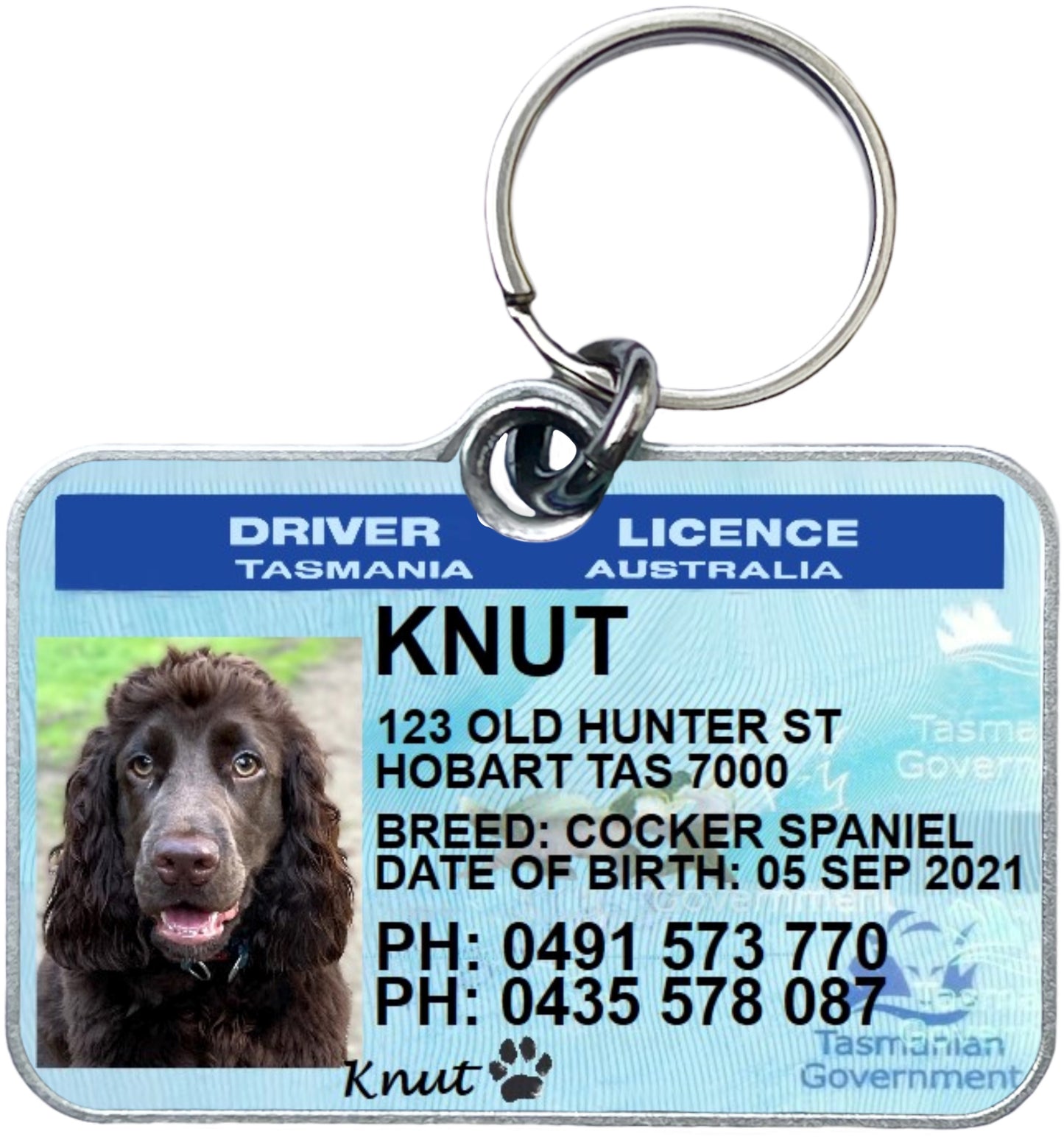 Tasmania Tasmanian driver licence license pet dog cat collar ID tag