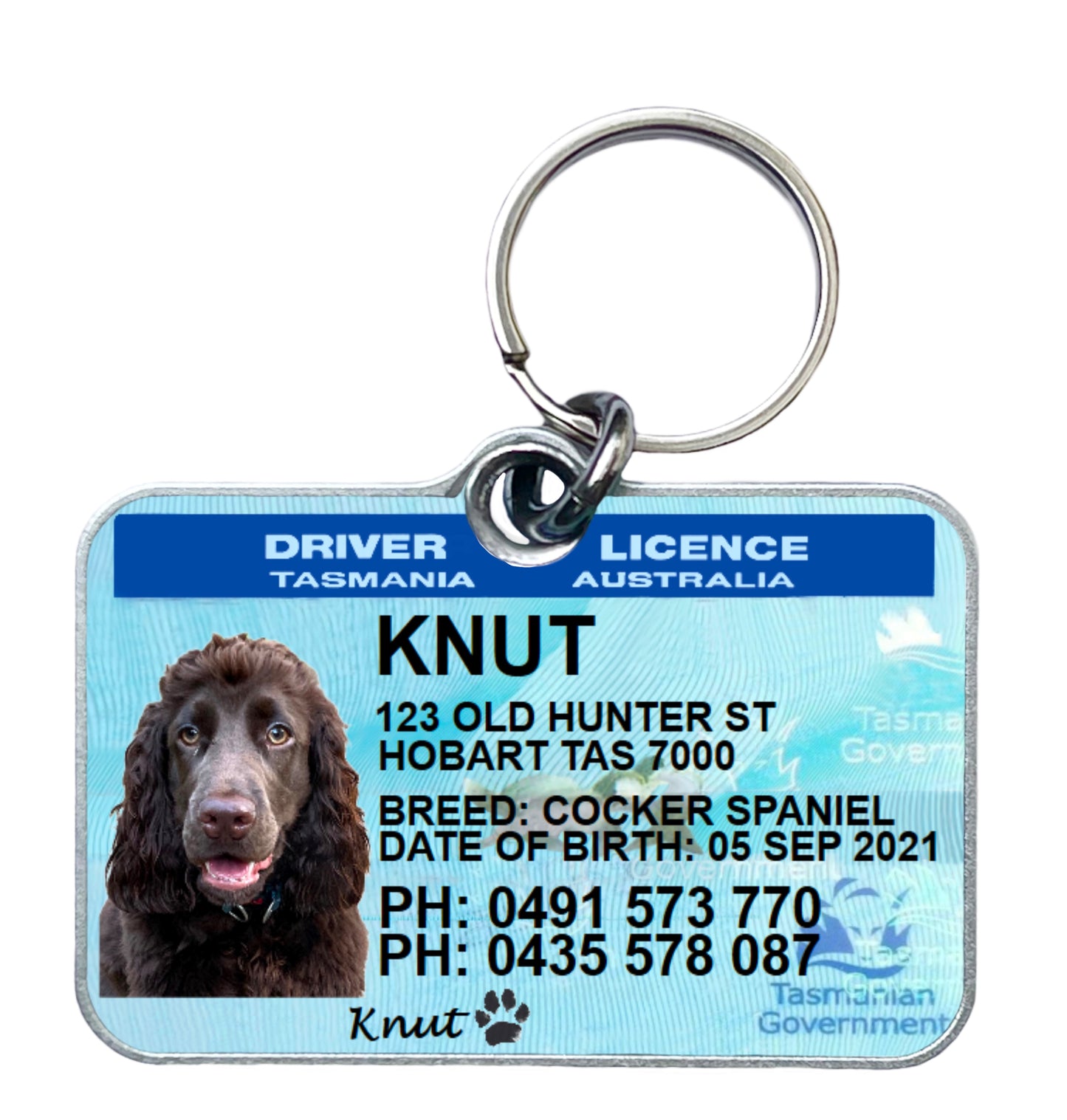 Tasmania driver license pet dog cat custom ID tag