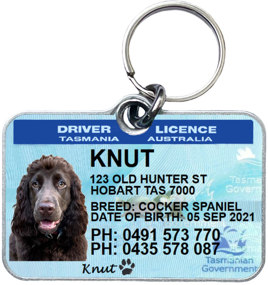 Tasmania driver license pet dog cat custom ID tag