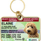 Vic Victoria Victorian truck driver licence license pet dog cat collar ID tag