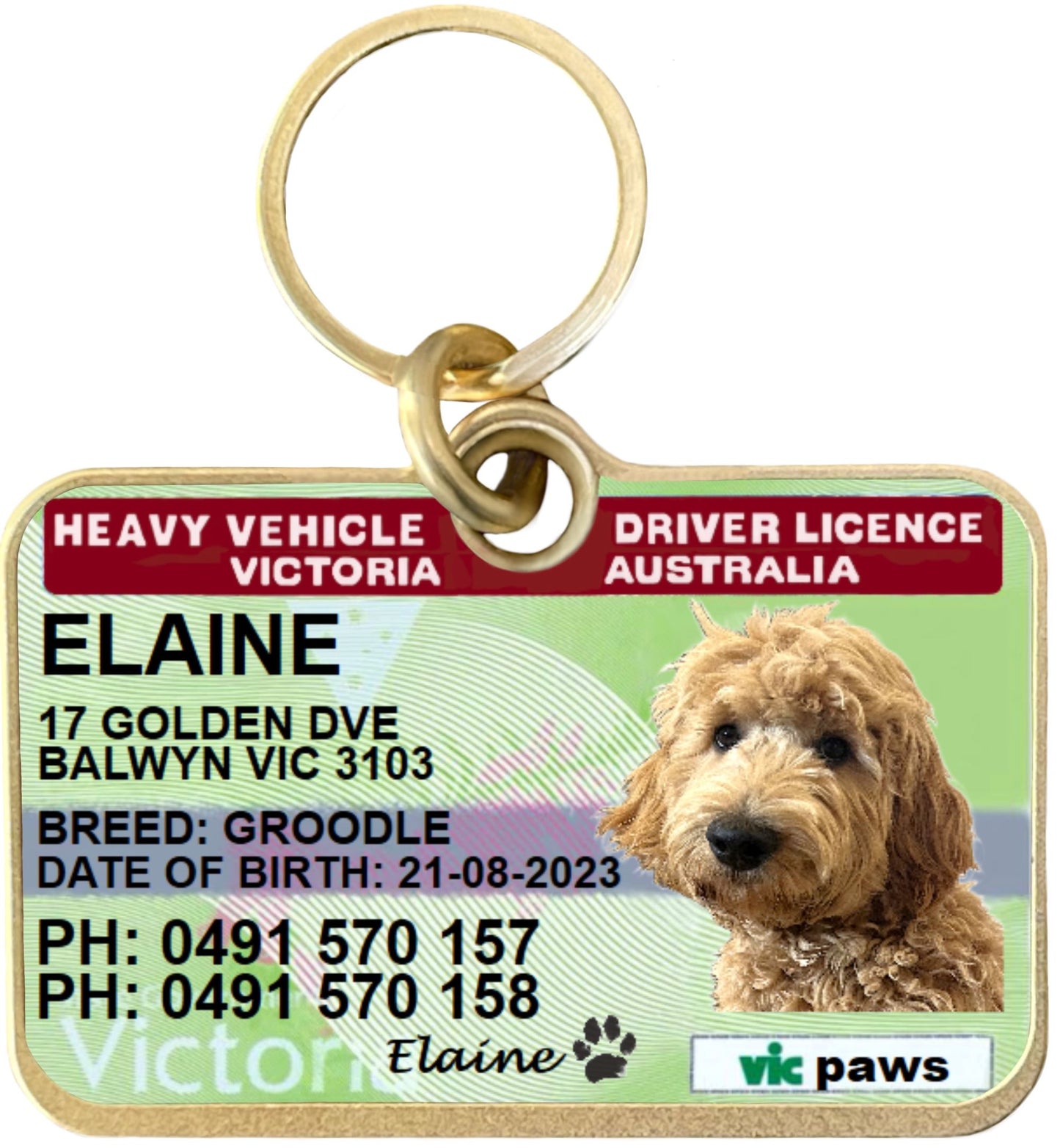 Vic Victoria Victorian truck driver licence license pet dog cat collar ID tag