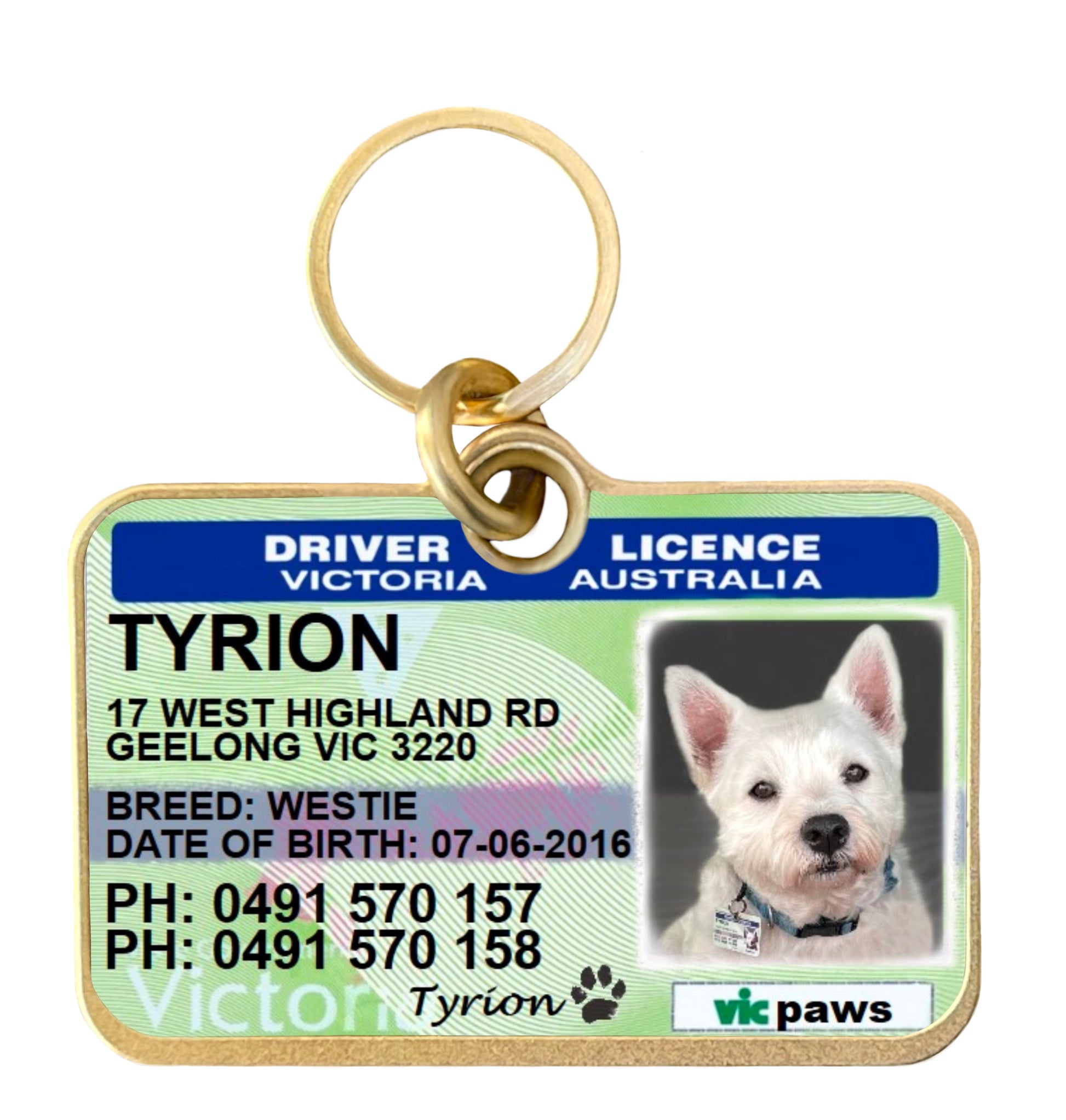 Pet License Plate Pet State Id Tags Michigan Driving License Dog