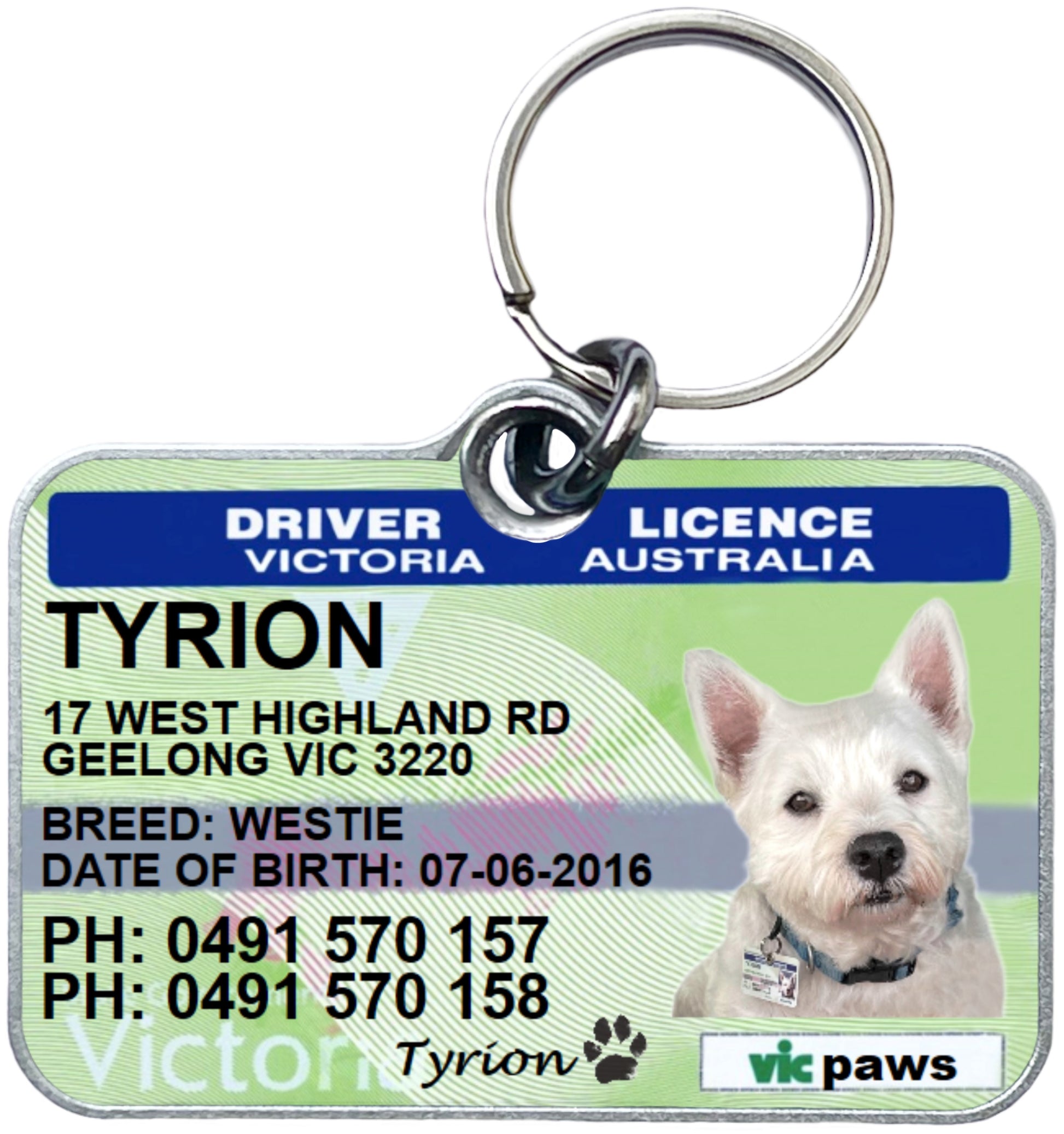 Victoria driver licence license pet dog cat ID collar tag