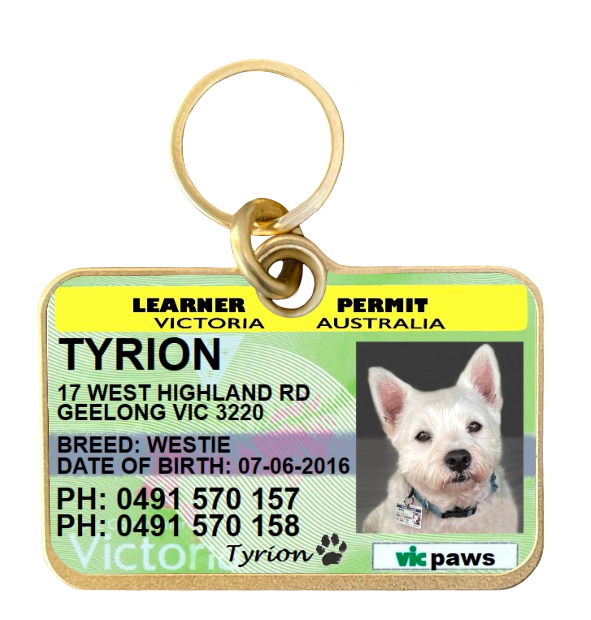 Victoria Learner permit driver licence license pet dog cat collar ID tag