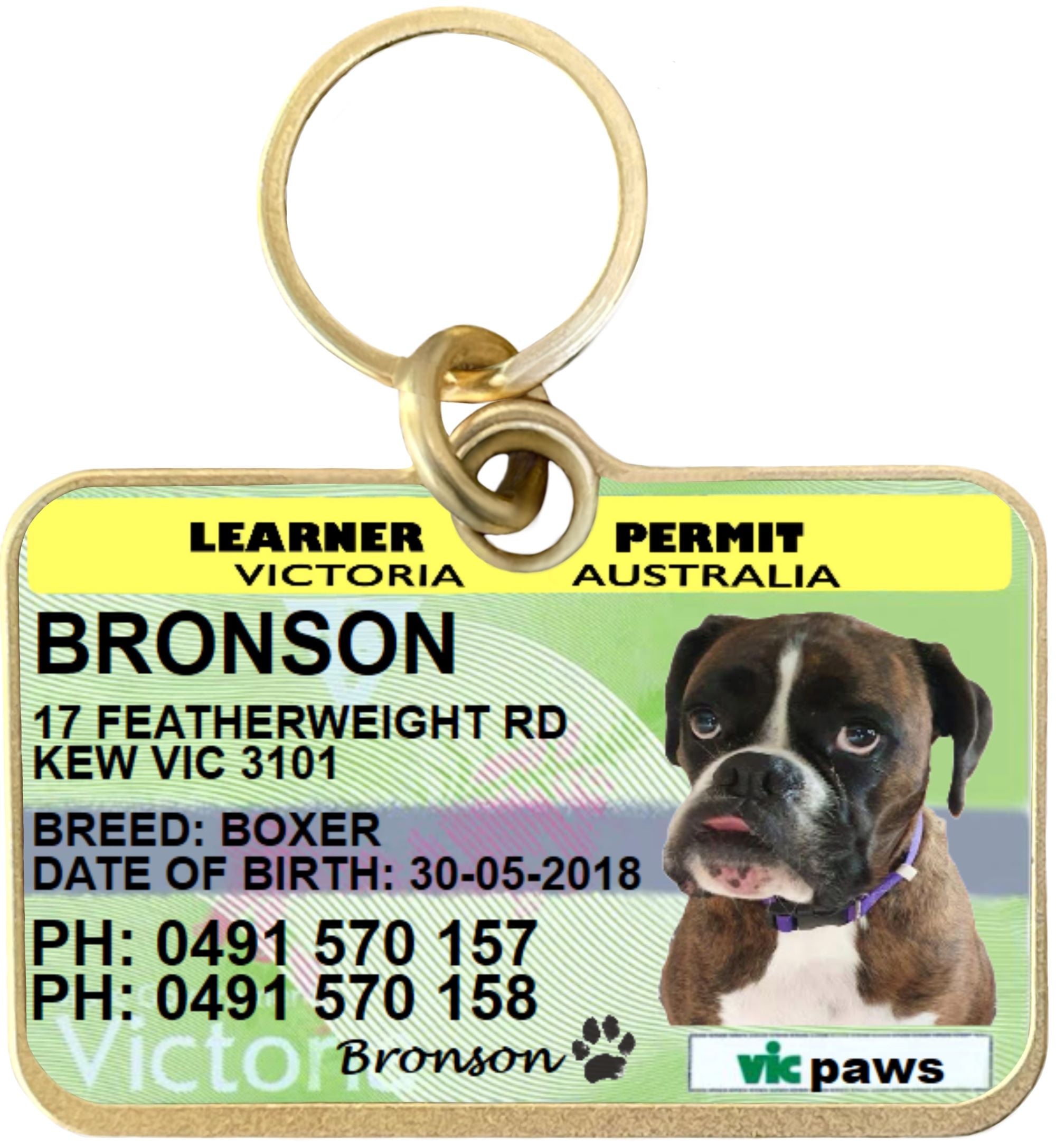 VICTORIA LEARNER PERMIT LICENCE PET COLLAR TAG Tyrion and Theon