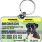 Vic Victoria Victorian Learner permit driver licence license pet dog cat custom tag