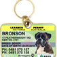 Learner permit pet dog cat collar tag