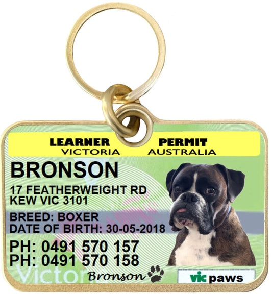 Learner permit pet dog cat collar tag