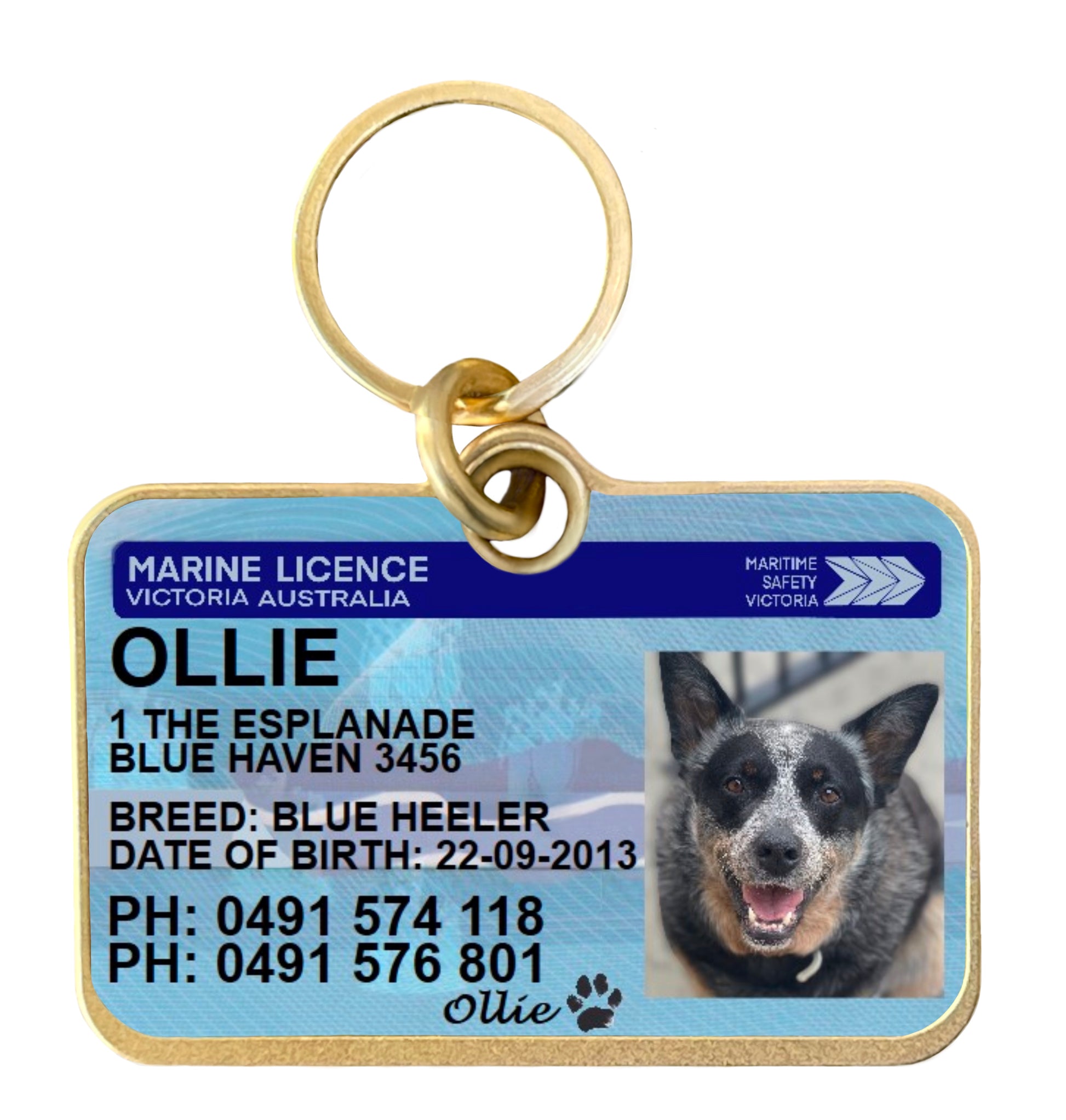 Marine license pet dog cat ID collar tag