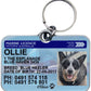 Victoria Marine licence license pet dog cat ID collar tag