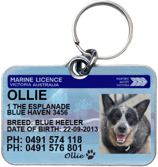 Victoria Marine licence license pet dog cat ID collar tag