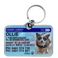 Victoria Marine licence license pet dog cat ID collar tag