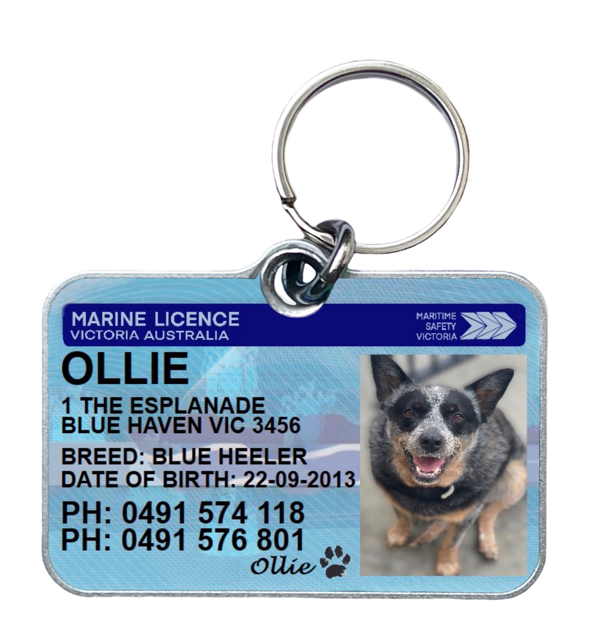 Victoria Marine licence license pet dog cat ID collar tag