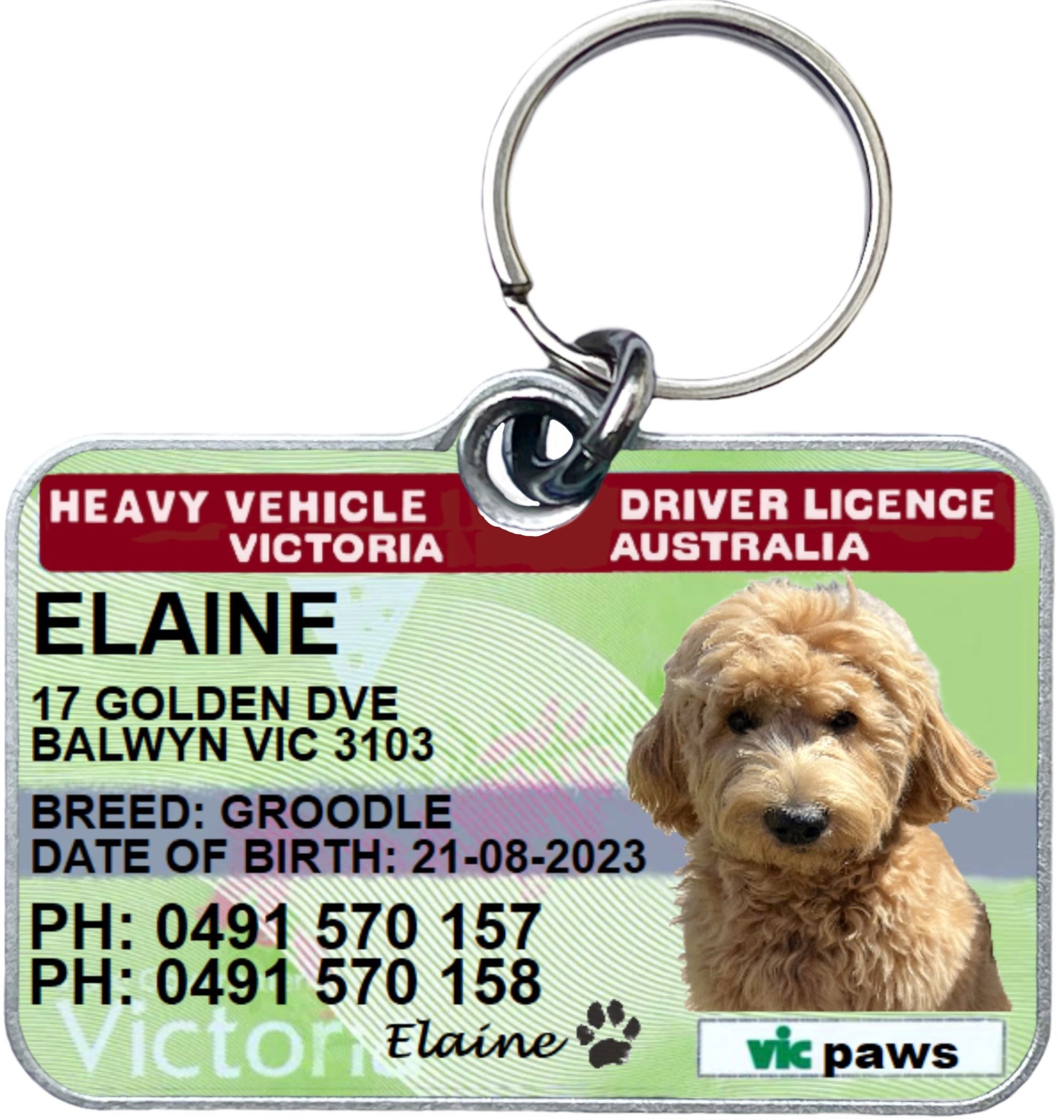 Victoria heavy vehicle driver licence license pet dog cat collar ID tag