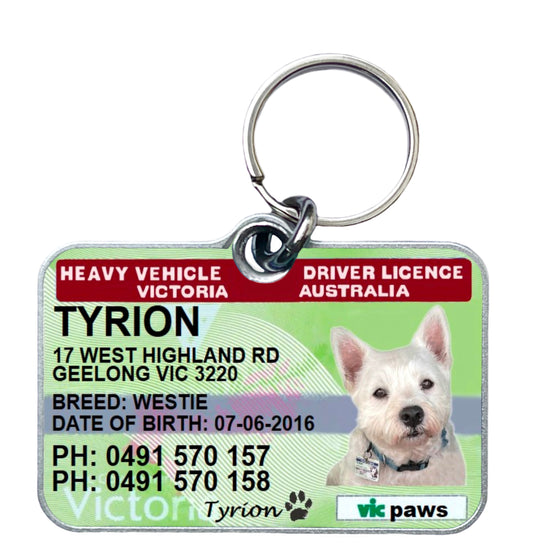 Vic Victoria Victorian truck driver licence license pet dog cat collar ID tag