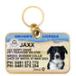 Western Australia driver licence license pet dog cat collar tag