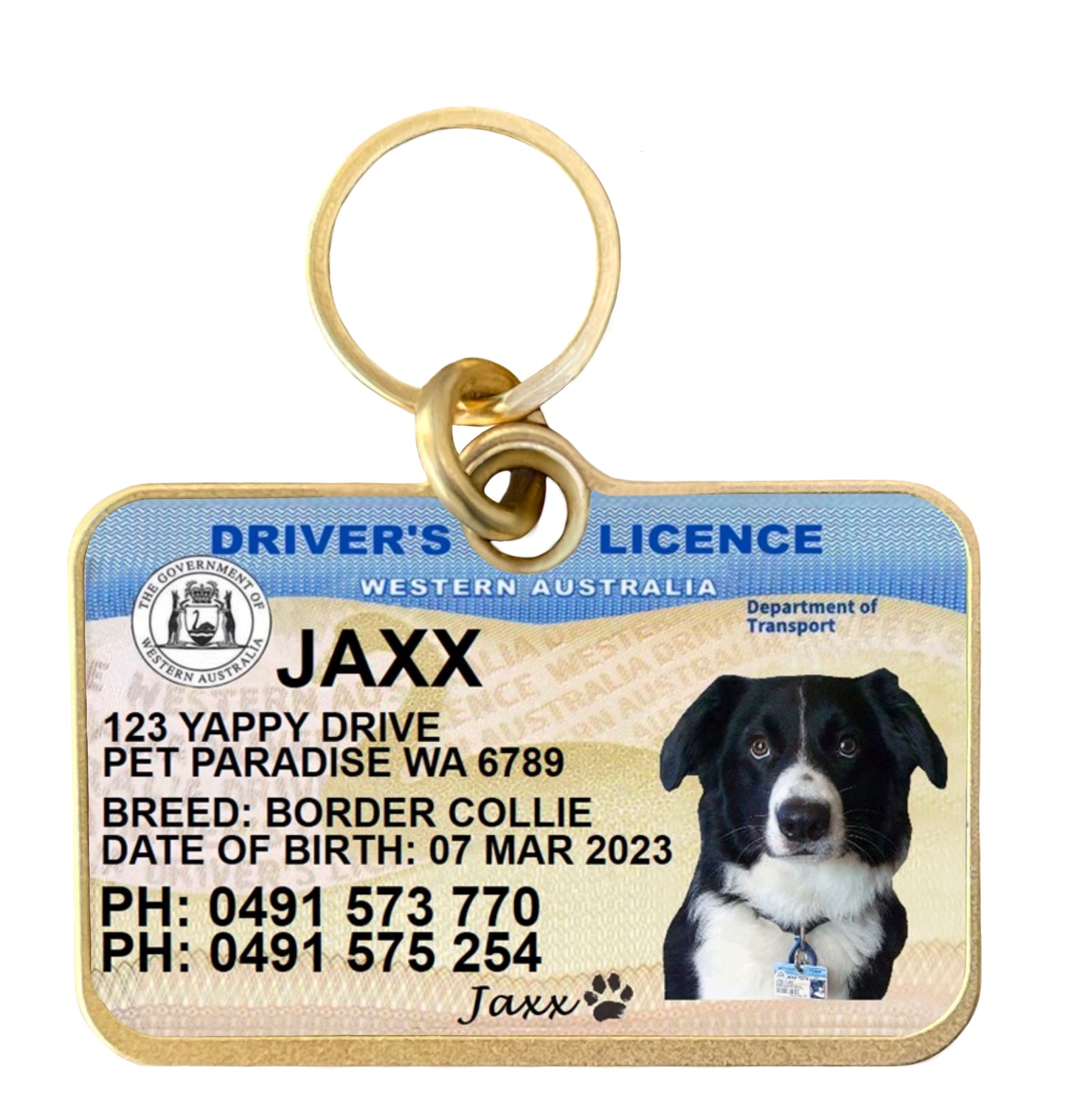 Western Australia driver licence license pet dog cat collar tag