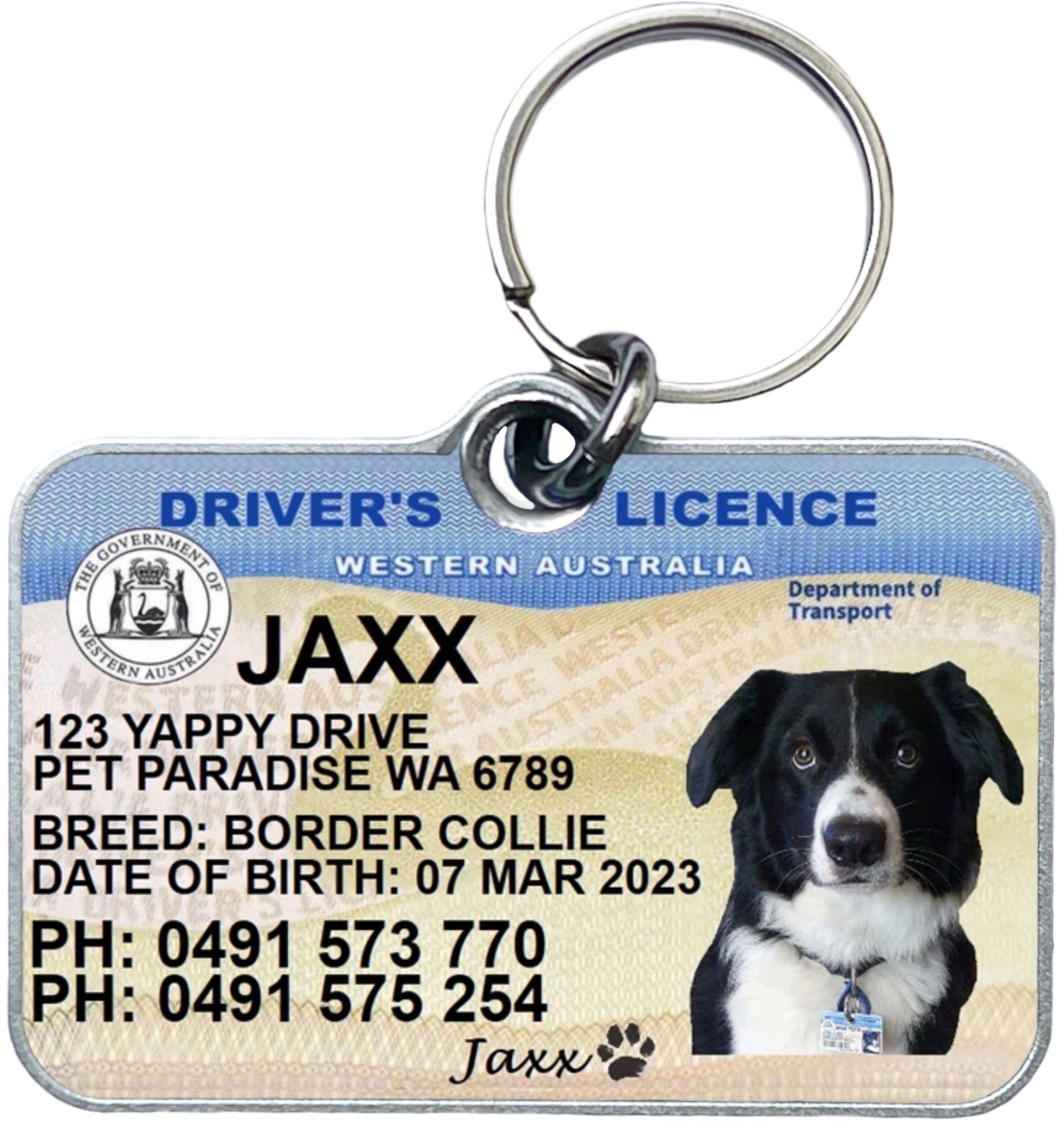 Western Australia driver licence license pet dog cat collar tag