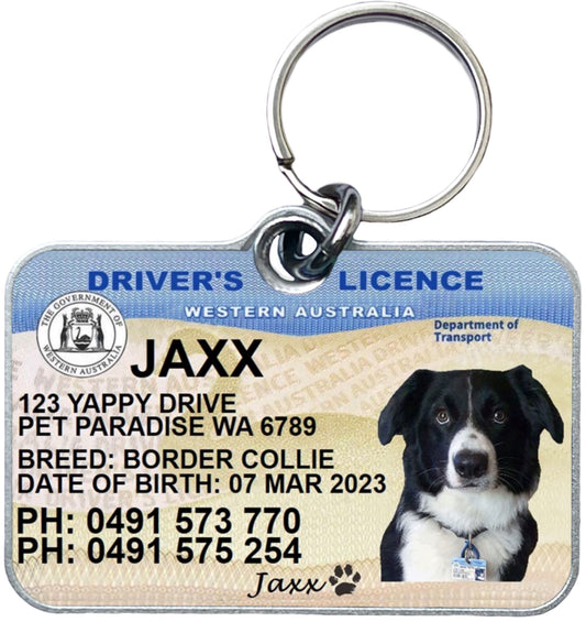 Western Australia driver licence license pet dog cat collar tag