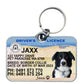 Western Australia driver licence license pet dog cat collar tag