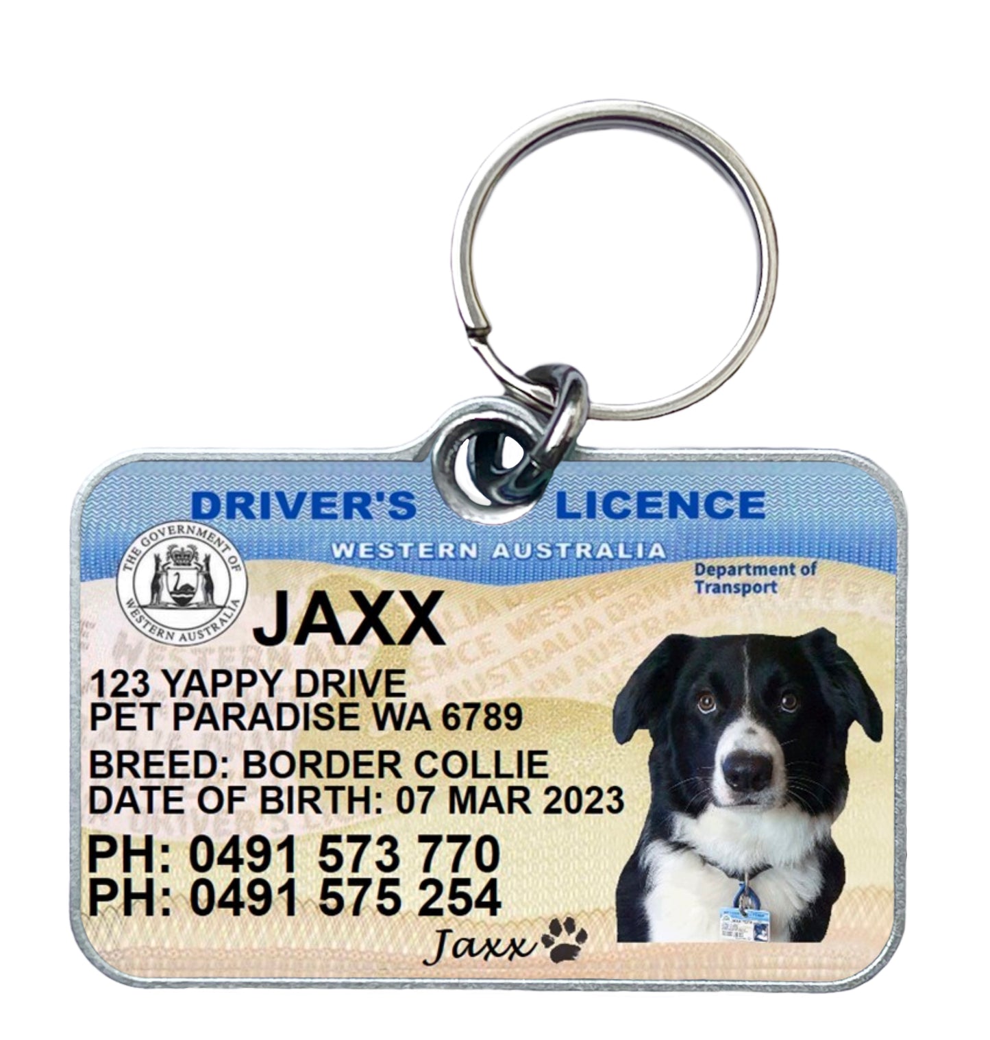 Western Australia driver licence license pet dog cat collar tag