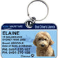 New South Wales Boat Licence Pet Collar Tags