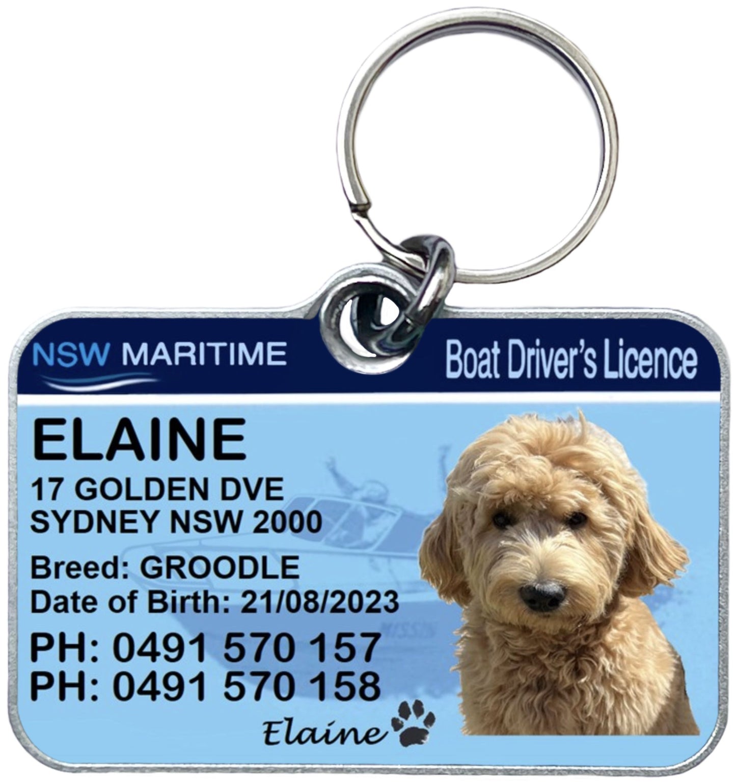 New South Wales Boat Licence Pet Collar Tags